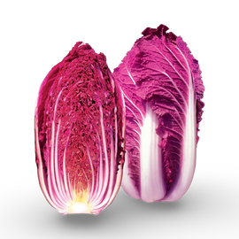 Purple Napa Cabbage, 1lb
