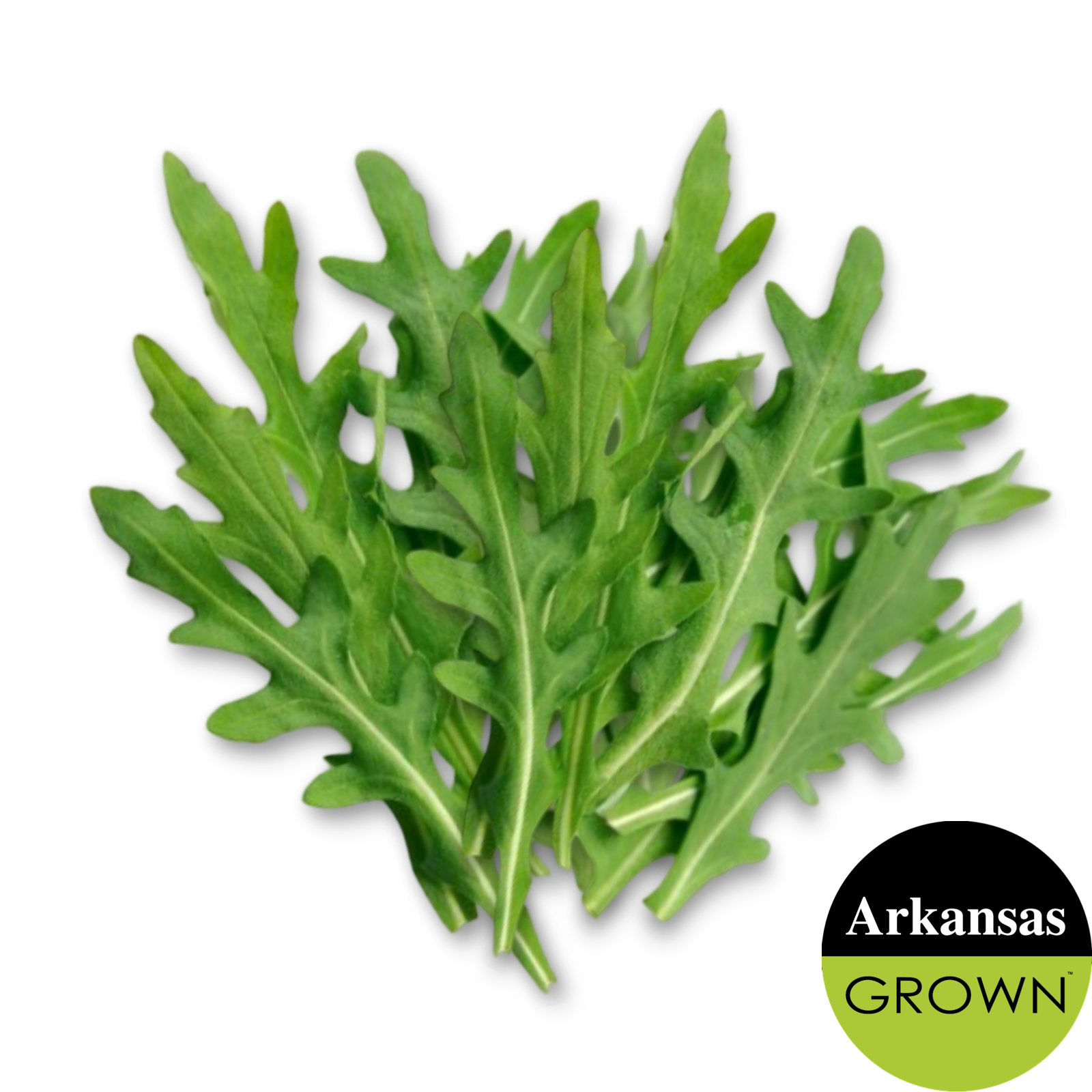 Arugula, 5oz