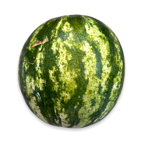 Red Seedless Watermelon, Small