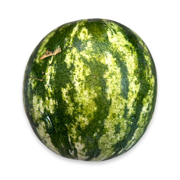 Red Seedless Watermelon, Small - 1