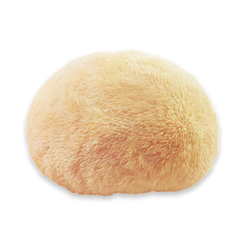 Lion’s Mane Mushrooms, 8oz