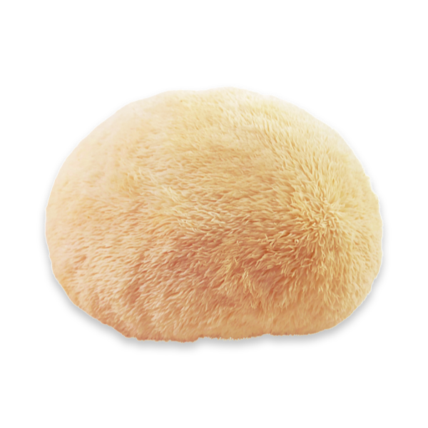 Lion’s Mane Mushrooms, 8oz - 1