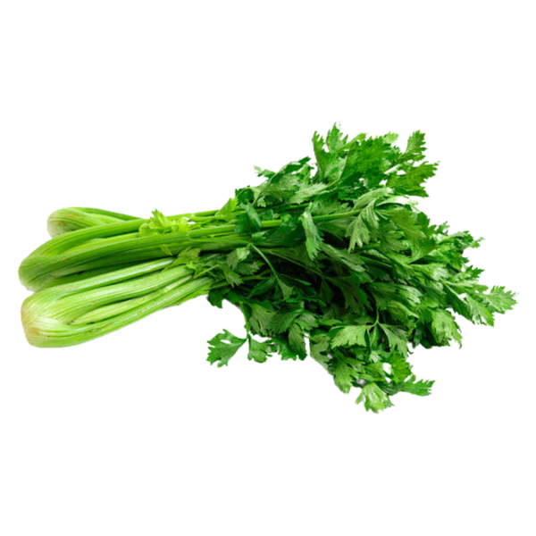 Celery, Bunch - 1