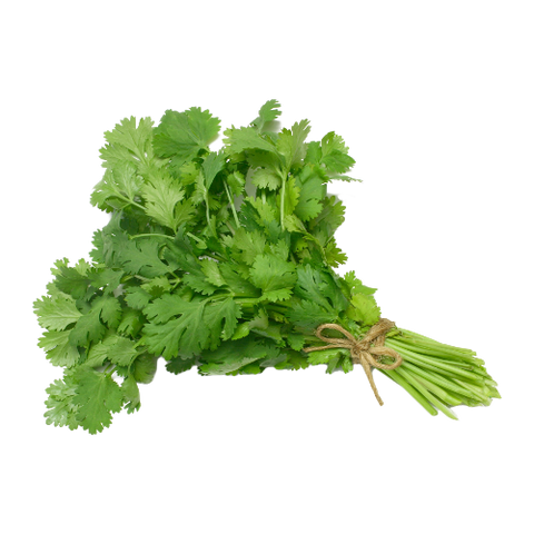 Fresh Cilantro, Bunch