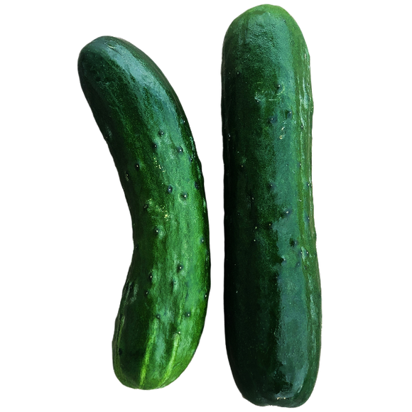 Slicing Cucumbers, Each