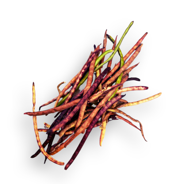 Purple Hull Peas, 1lb (in shell) - 1