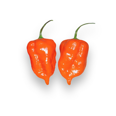 Habanada Sweet Peppers, 4oz