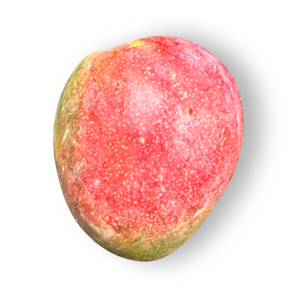 Mango, Lg - 1