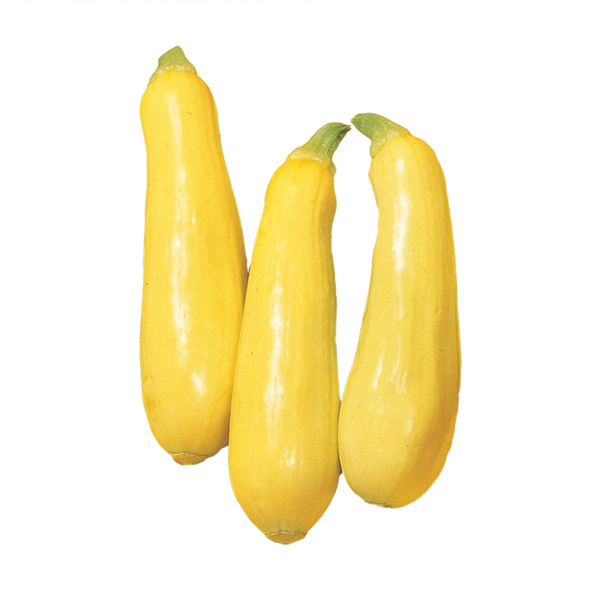 Yellow Squash, 1lb - 1