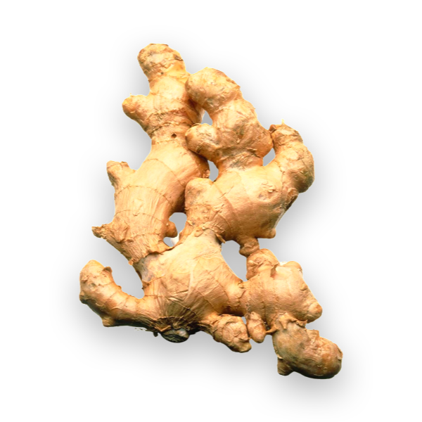Ginger, 2oz - 1