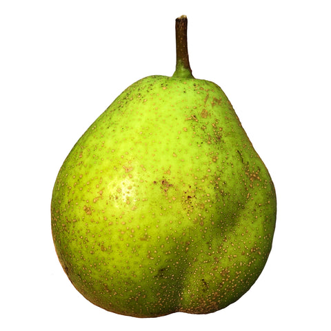 Magness Pears, 1lb