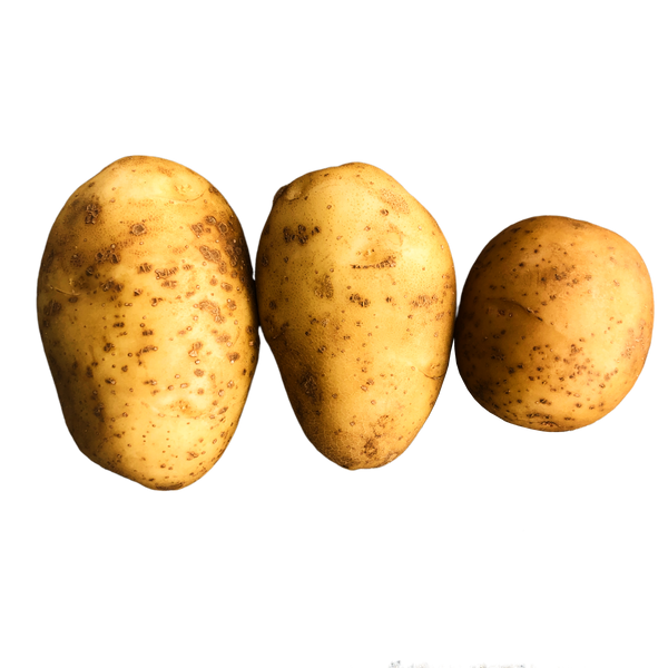 Yukon Gold New Potatoes, 1lb - 1