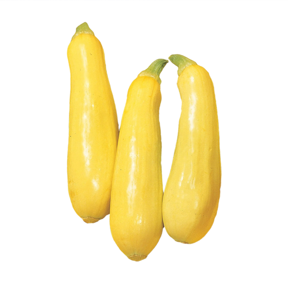 Yellow Squash, Each