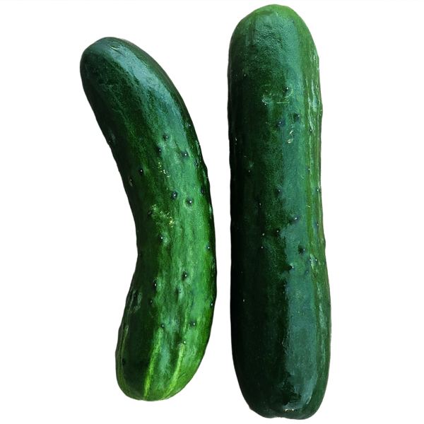 Organic Slicing Cucumbers, Each - 1