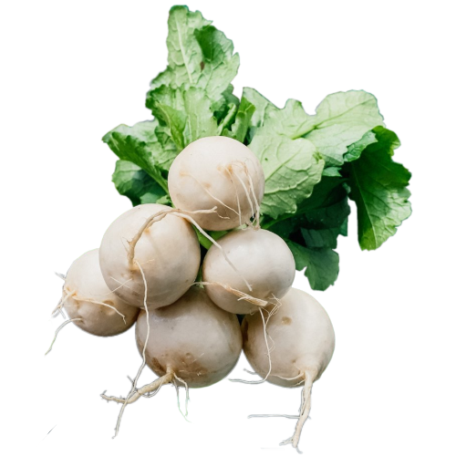 Bunched Hakurei Turnips, 1lb