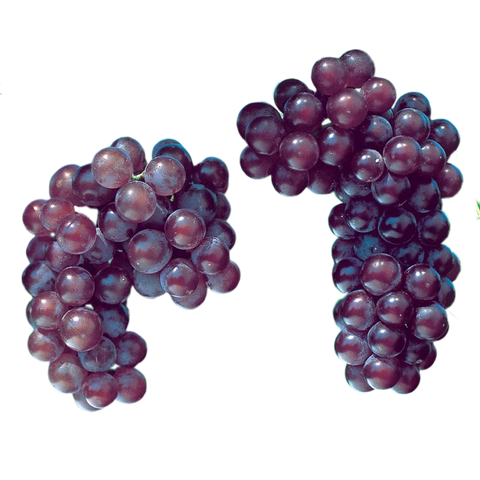 Concord Seeded Grapes, 1lb