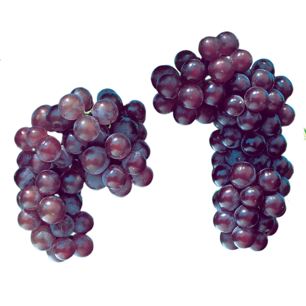 Concord Seeded Grapes, 1lb - 1