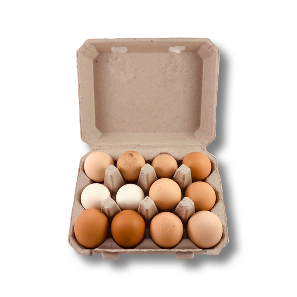 Eggs, 1 Dozen - 1