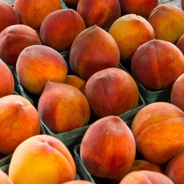 Arkansas Peaches, 1lb - 2