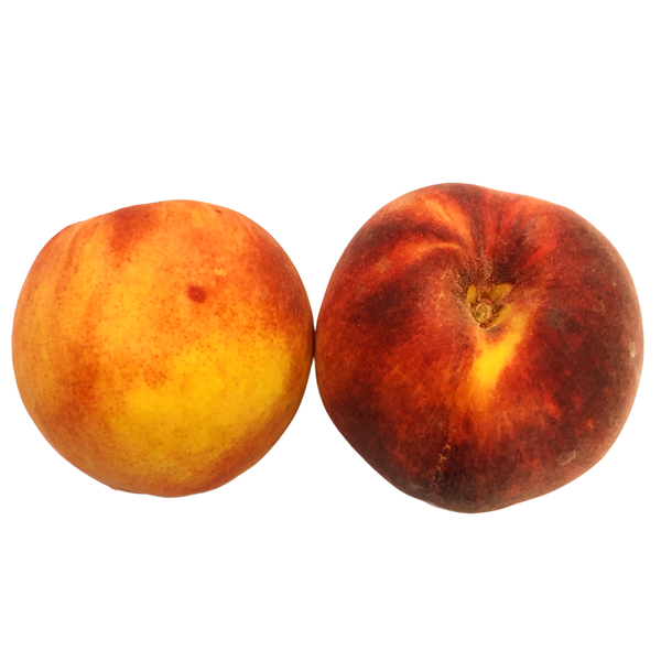 Arkansas Peaches, 1lb - 1