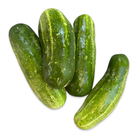 Organic Pickling Cucumbers, 1lb
