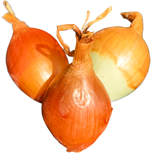 Fresh Yellow Onions, 1lb - 1