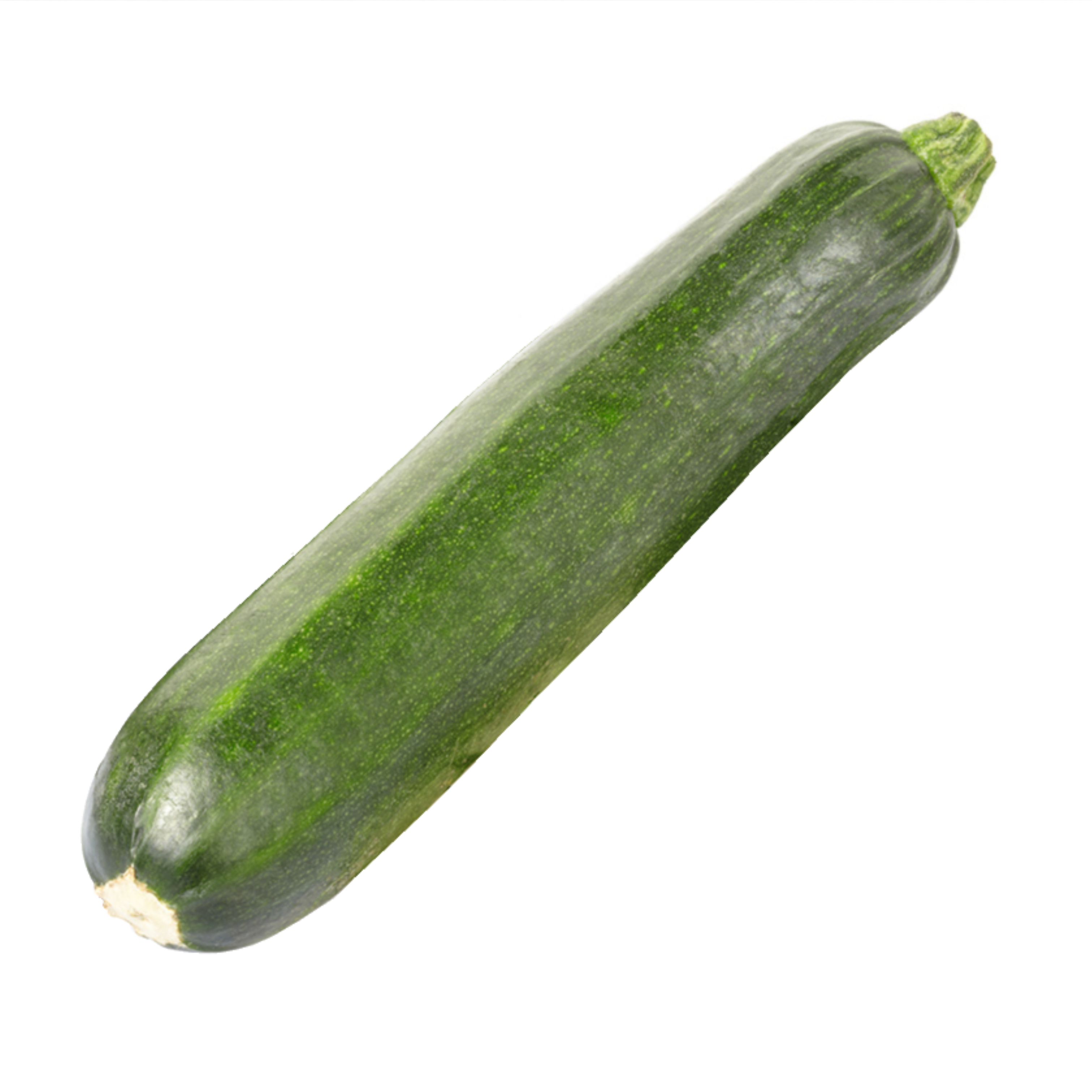 Zucchini Squash, Each